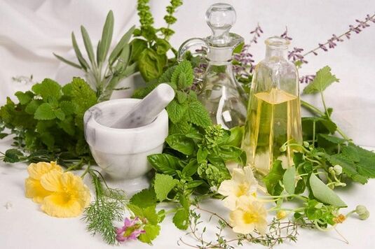 Folk medicines to treat chronic prostatitis